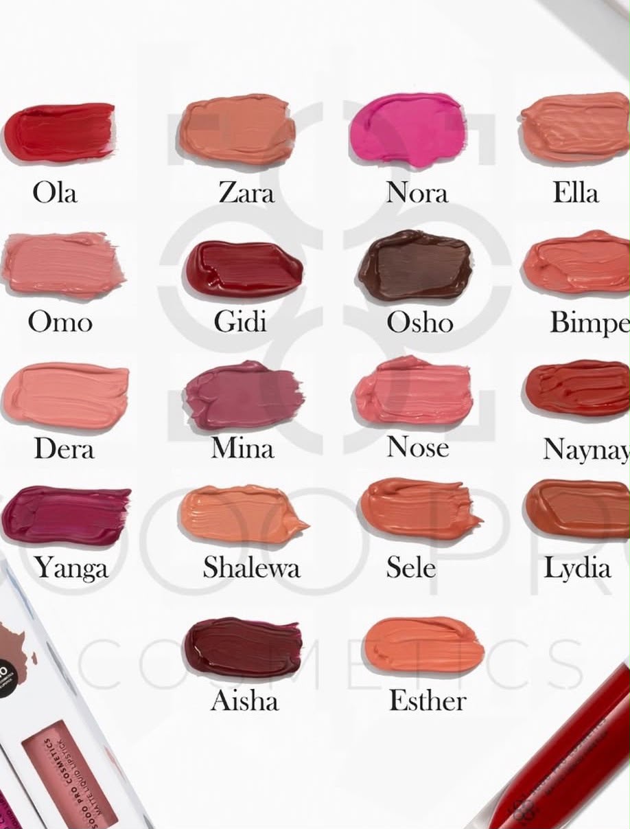 5000 Pro Cosmetics Matte Liquid Lipstick